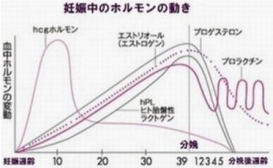 ホルモンバランスの変化による産後うつが産後クライシスの原因でもある