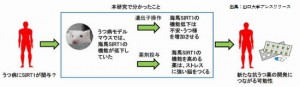 サーチュイン遺伝子はうつ病の原因と関係がある