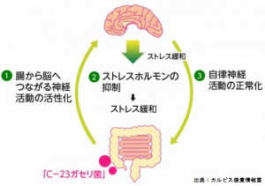 カルピスはプロバイオティクスでうつ病に良い食品です