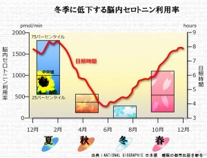 日照時間が短いから冬にうつ病が多い