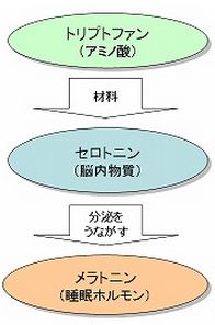 うつ病と不眠症は密接な関係があります