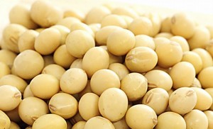 大豆は妊娠うつ病を予防する食べ物です