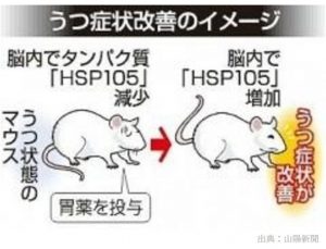 うつ病のマウスのうつ症状を改善する既存の胃薬とは