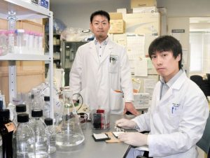 鳥取大学はβ-ヒドロキシ酪酸がうつ病を改善すると発表