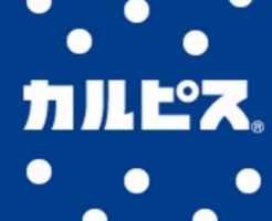 プロバイオティクスのカルピスはうつ病に良い