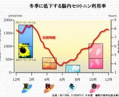 季節性感情障害の冬季うつ病を防ぐには太陽を浴びることです