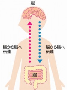 神戸大学はうつ病の予防には発酵食品が良いと発表