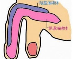 うつ病のEDは心因性ですから必ず治ります