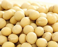 大豆にはイソフラボンが含まれ妊娠うつ病を予防する食べ物です