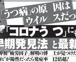 うつ病の原因はウイルス感染による蛋白