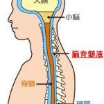 うつ病の改善に効果がある脳呼吸を知っていますか？