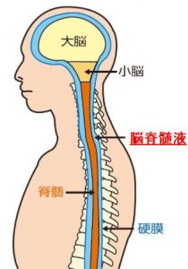 脳呼吸でうつ病改善