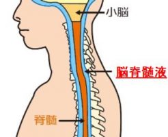 脳呼吸を調整しうつ病改善